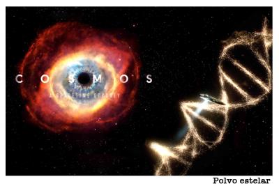 The New Cosmos: Los átomos se contemplan a sí mismos nuevamente
